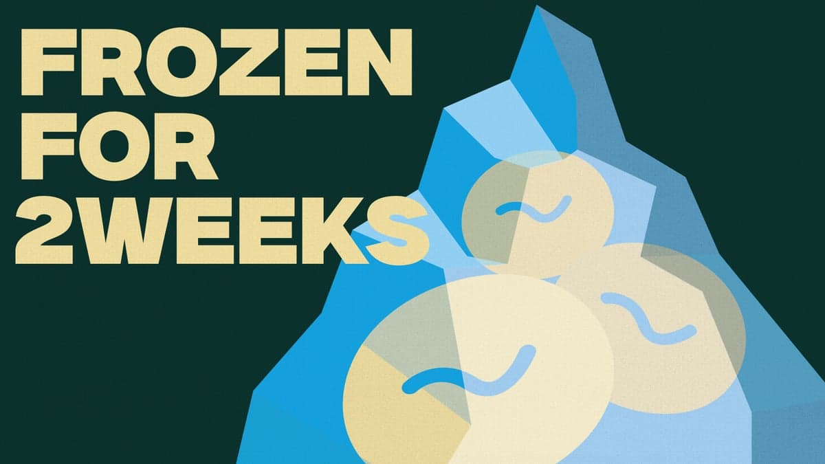 FROZEN FOR 2WEEKS ベーグルは冷凍で2週間保存できます